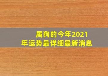 属狗的今年2021年运势最详细最新消息