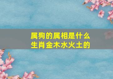 属狗的属相是什么生肖金木水火土的