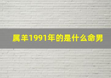 属羊1991年的是什么命男