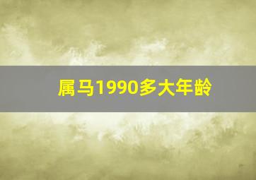 属马1990多大年龄