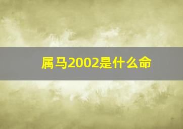 属马2002是什么命