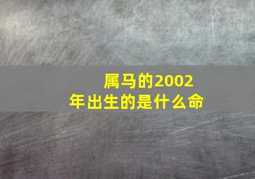 属马的2002年出生的是什么命