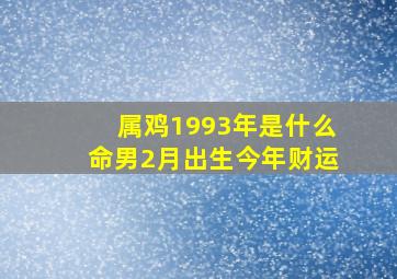 属鸡1993年是什么命男2月出生今年财运