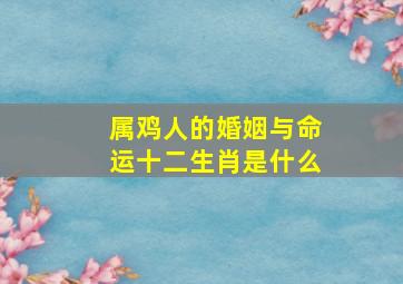 属鸡人的婚姻与命运十二生肖是什么