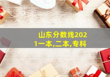 山东分数线2021一本,二本,专科