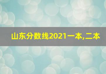 山东分数线2021一本,二本