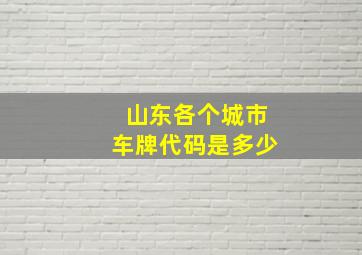 山东各个城市车牌代码是多少