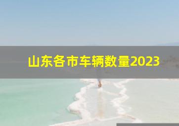 山东各市车辆数量2023