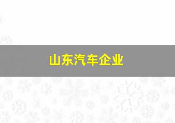 山东汽车企业