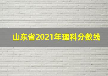 山东省2021年理科分数线