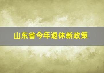 山东省今年退休新政策