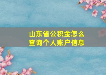 山东省公积金怎么查询个人账户信息