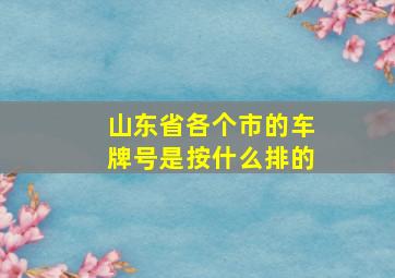 山东省各个市的车牌号是按什么排的