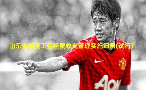 山东省基层工会经费收支管理实施细则(试行)