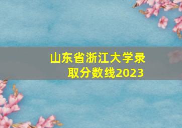 山东省浙江大学录取分数线2023