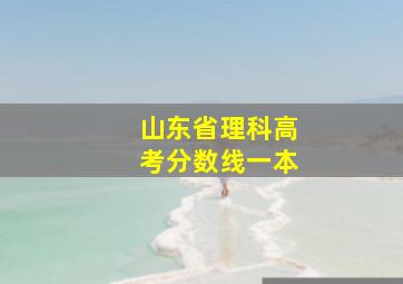 山东省理科高考分数线一本