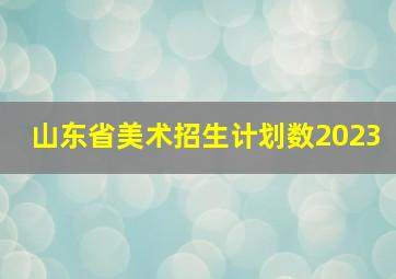 山东省美术招生计划数2023