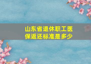 山东省退休职工医保返还标准是多少