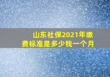 山东社保2021年缴费标准是多少钱一个月