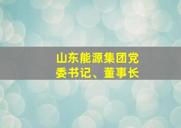 山东能源集团党委书记、董事长