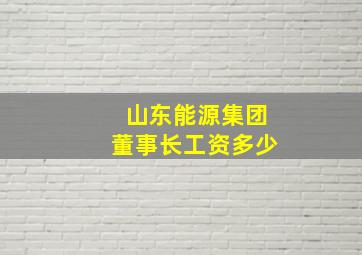 山东能源集团董事长工资多少