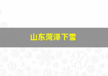 山东菏泽下雪