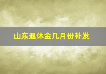 山东退休金几月份补发