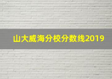 山大威海分校分数线2019