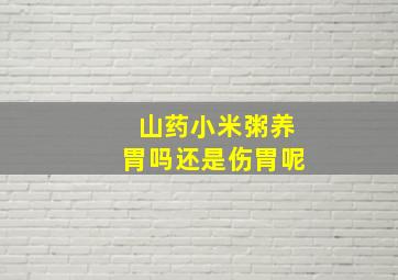 山药小米粥养胃吗还是伤胃呢