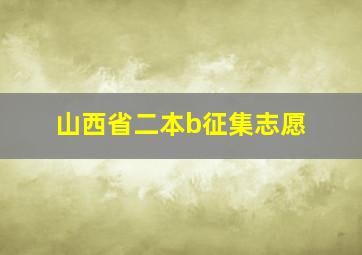 山西省二本b征集志愿