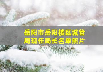 岳阳市岳阳楼区城管局现任局长名单照片