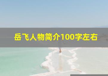 岳飞人物简介100字左右