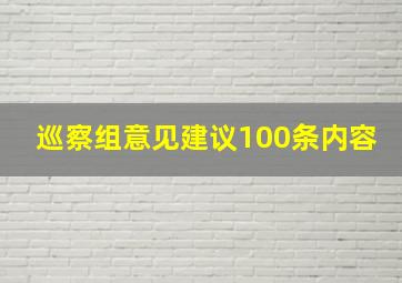 巡察组意见建议100条内容