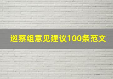 巡察组意见建议100条范文