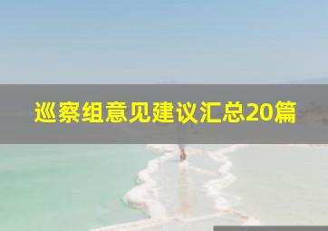 巡察组意见建议汇总20篇