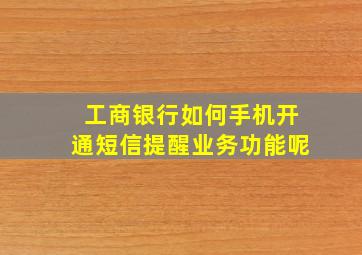 工商银行如何手机开通短信提醒业务功能呢