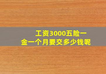 工资3000五险一金一个月要交多少钱呢