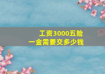 工资3000五险一金需要交多少钱