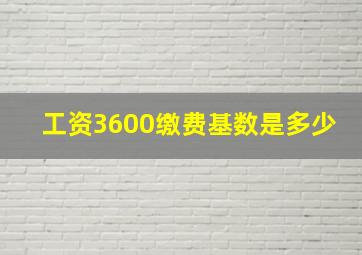 工资3600缴费基数是多少