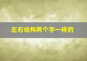 左右结构两个字一样的