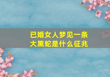 已婚女人梦见一条大黑蛇是什么征兆