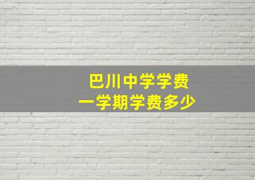 巴川中学学费一学期学费多少