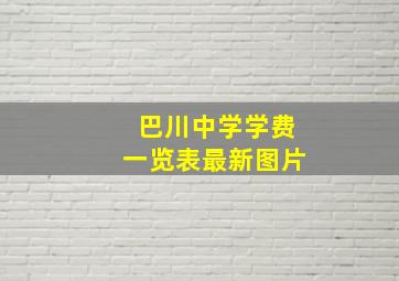 巴川中学学费一览表最新图片