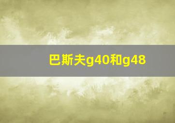 巴斯夫g40和g48