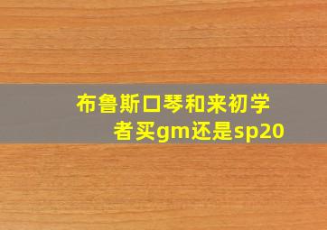 布鲁斯口琴和来初学者买gm还是sp20