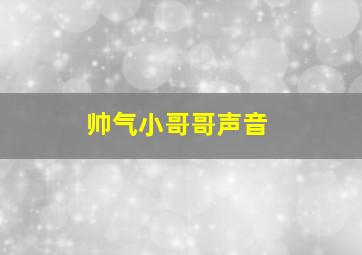 帅气小哥哥声音