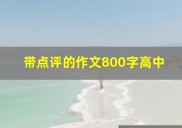 带点评的作文800字高中