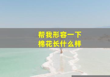 帮我形容一下棉花长什么样