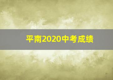 平南2020中考成绩