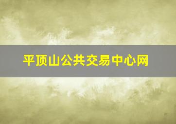 平顶山公共交易中心网